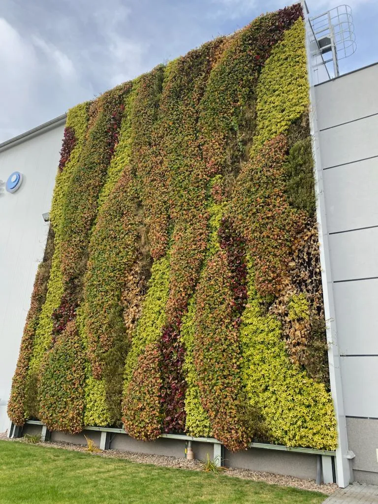 Eco Facade realisation