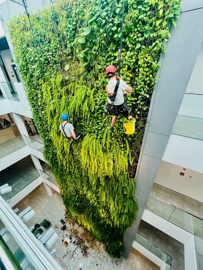 Eco Facade realisation