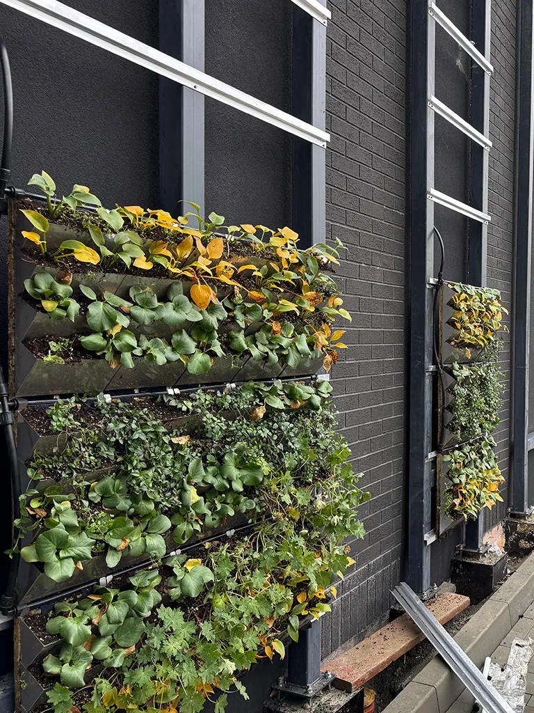 Eco Facade realisation