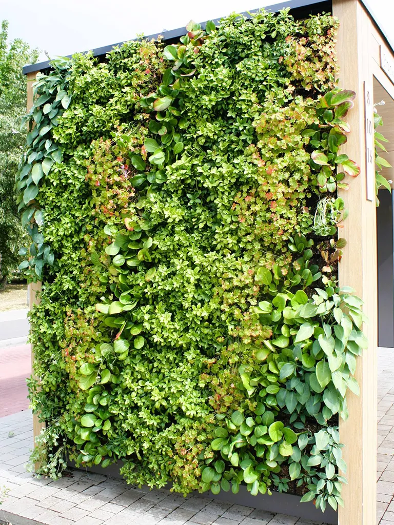 Eco Facade realisation