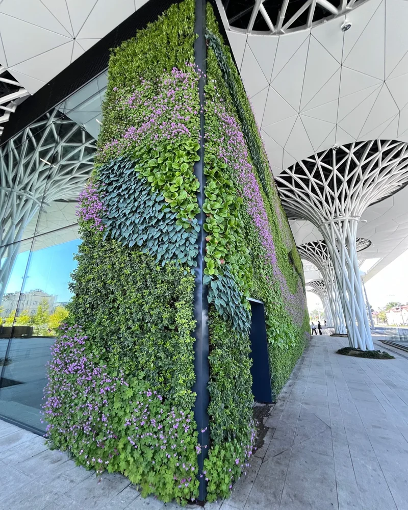 Green wall at bus station