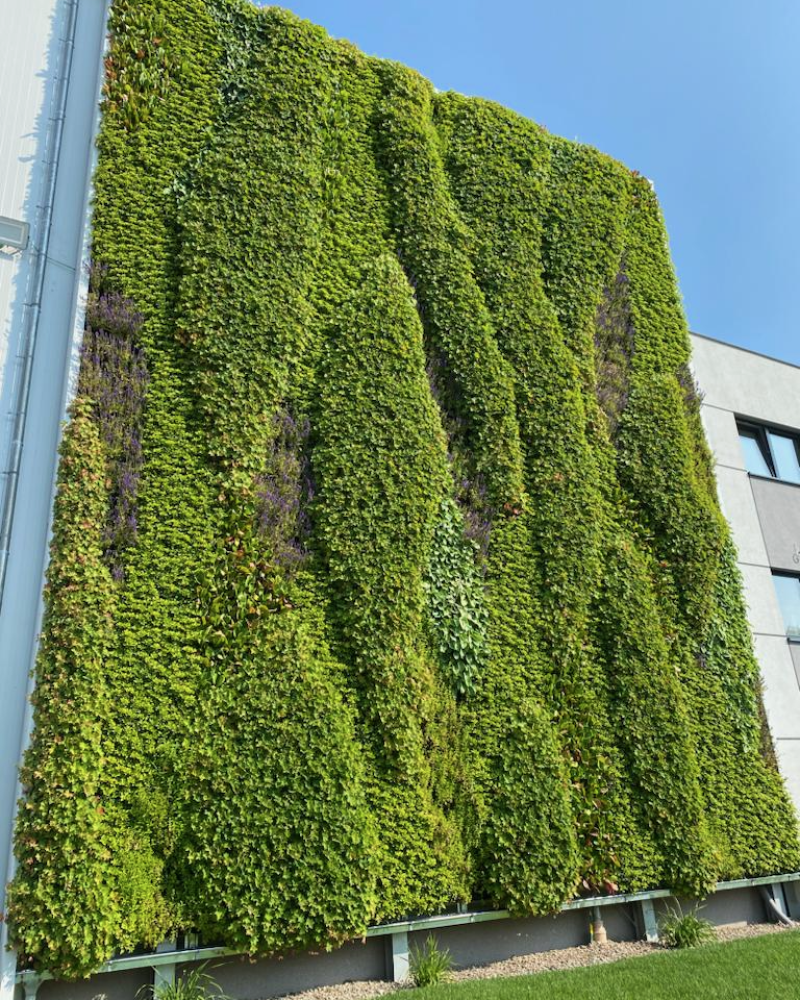 Sandwich panel green wall