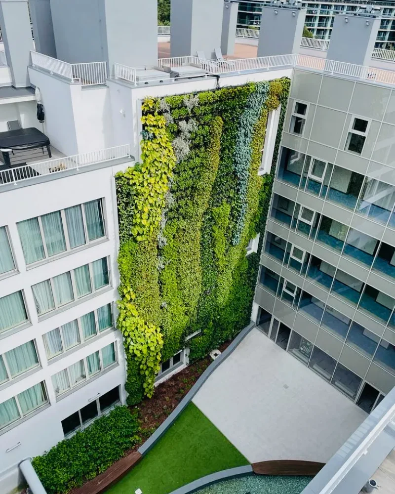 Hotel green wall